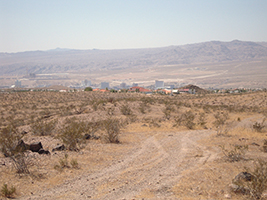 Side Trip to Oatman